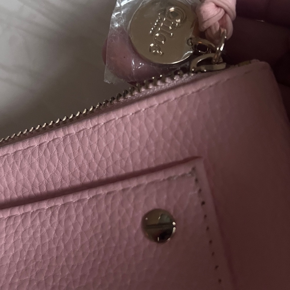 New! Chloe Cosmetics Bag/Clutch View 6
